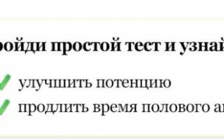 Зверобой для мужчин: чем полезен, как влияет на потенцию, как заваривать и пить
