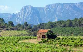 Вина Лангедока (Languedoc Wines) – самого большого винодельческого региона Франции