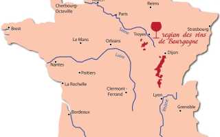 Вина Бургундии (Bourgogne wine) – разнообразие сортов и стилей
