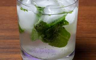Как и с чем пить алкогольный Мохито (Mojito)
