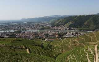 Вина из долины Роны (Rhone Wines): особенности, классификация и марки