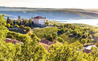 Вина Прованса (Provence wine): розовые, красные, белые