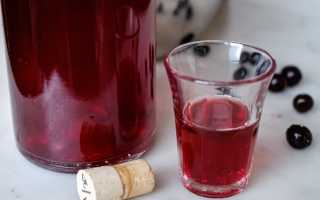 Домашний терновый джин (Sloe gin) – классический рецепт