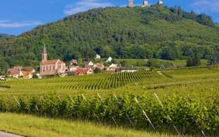 Вина Эльзаса (Alsace wines) – французско-германское наследие