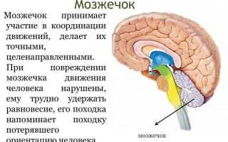 Как алкоголь влияет на координацию движений
