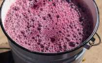 Методы борьбы с обильной пеной при брожении вина