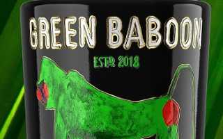 Green Baboon (Грин Бабун или Зеленый бабуин)