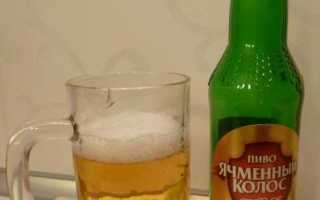 Ячменный колос