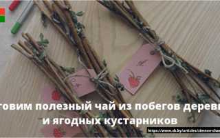 Ветки малины лечебные свойства и противопоказания