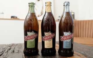 Duckstein (Дукштайн)