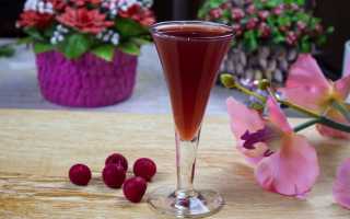 Технология приготовления вишневой водки (ликера)