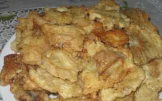 Как приготовить грибы зонтики вкусно, просто и быстро?