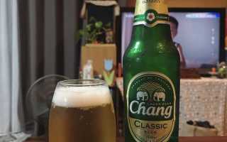Chang («Чанг»)
