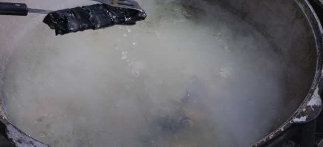 Настоящая рыбацкая уха с водкой на плите или костре