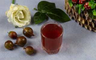 Лучшие рецепты настоек из крыжовника