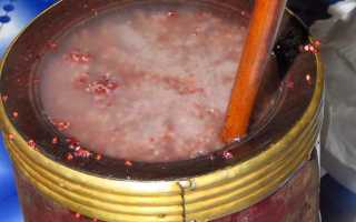 Тонгба (Tongba) и Чанг (Chang) – суровая гималайская зерновая брага
