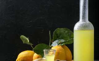 Как правильно пить Лимончелло (Limoncello)