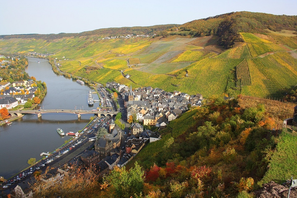 германский виноградник фото