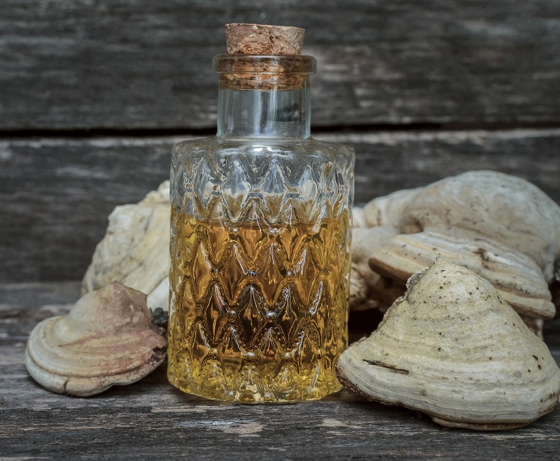 фото настойки чаги на водке