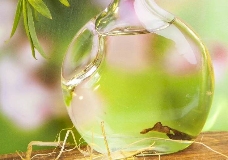 фото настойки индийского лука на водке