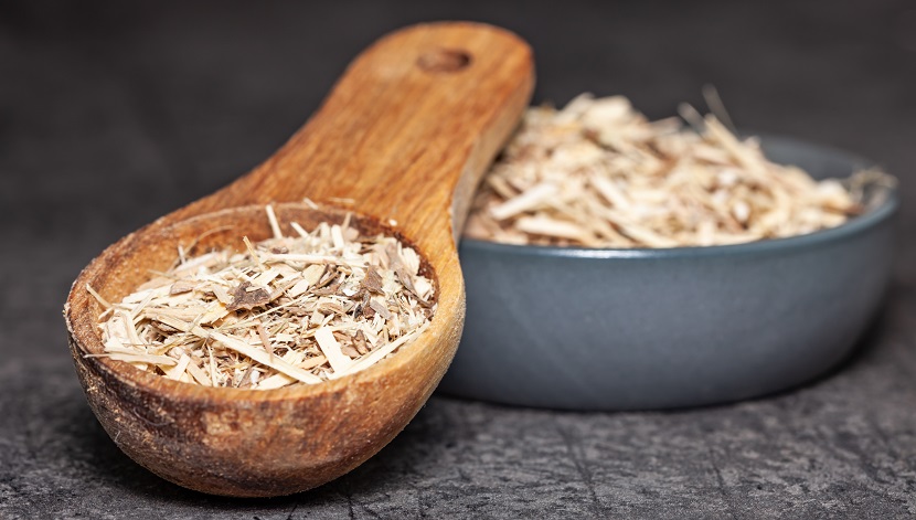 корень элеутерококка фото