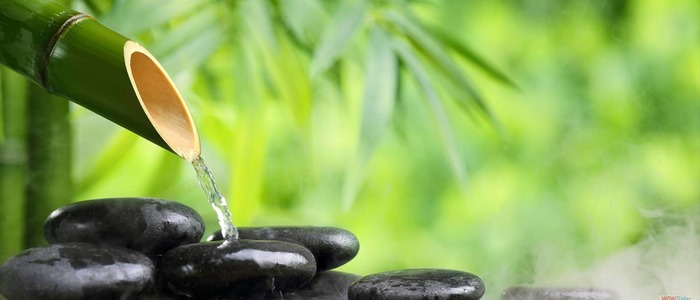 Фен-шуй и здоровье Фен-шуй для здоровья