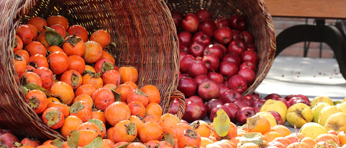 Компот из хурмы Компот из вяжущей хурмы.