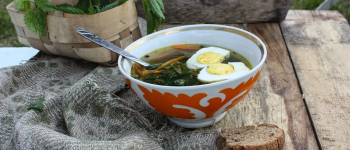 Зеленые щи с щавелем