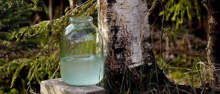 берёзовый сок с лимонной кислотой