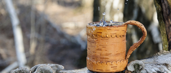 берёзовый сок на зиму