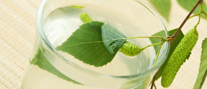 берёзовый сок на зиму