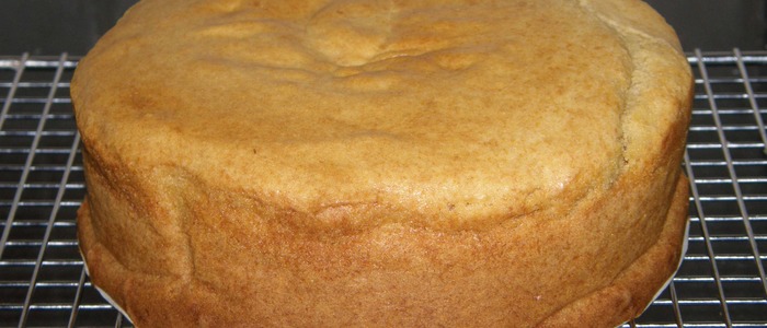 бисквит на сгущёнке бисквит на варёной сгущёнке