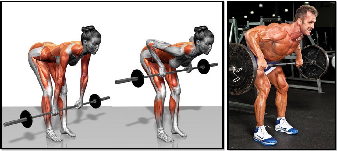 Укрепить спину Укрепление мышц спины