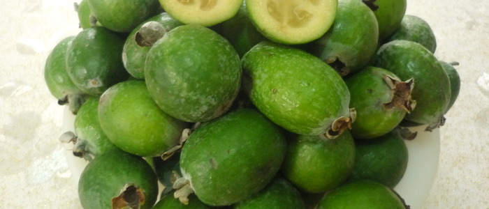 фейхоа с сахаром перетереть фейхоа с сахаром