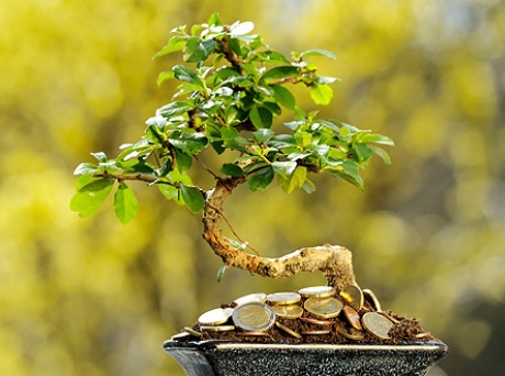 Привлечь деньги в дом Фэн-шуй для денег