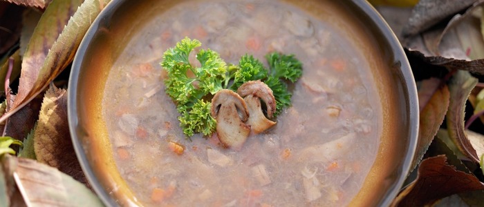 суп из белых грибов классический суп из белых грибов