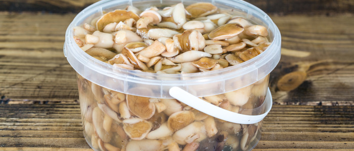 маринованные маслята маринованные маслята на зиму.