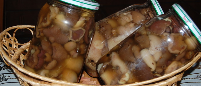 маринованные маслята маринованные маслята на зиму