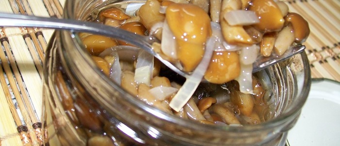 маринованные маслята маринованные маслята в банках.