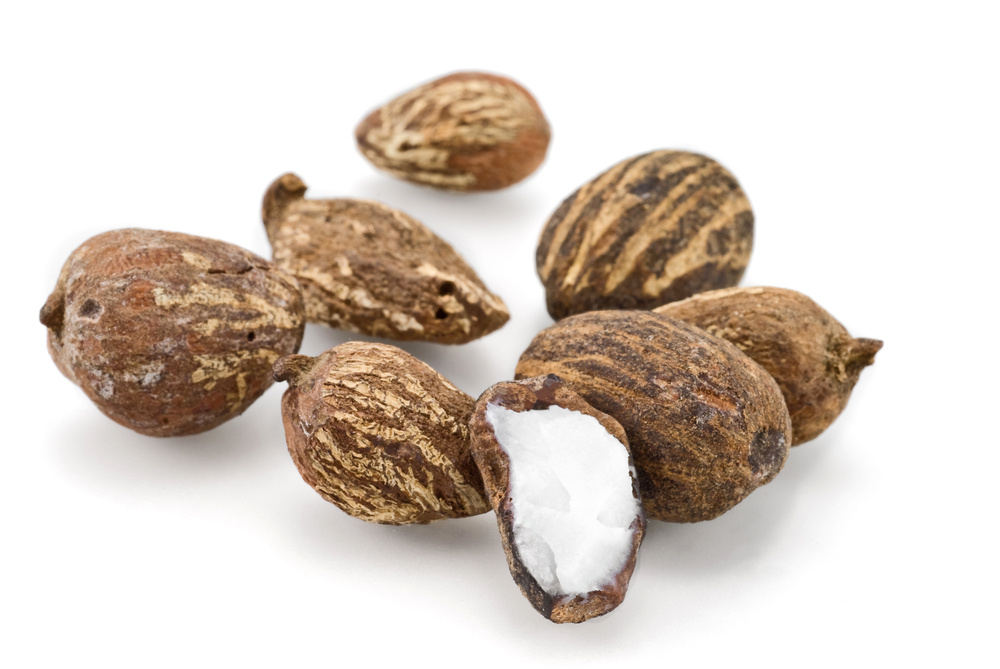 Масло ши для тела Масло дерева ши