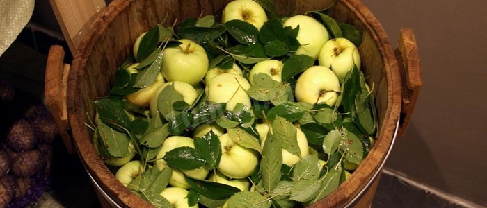 моченые яблоки в банках