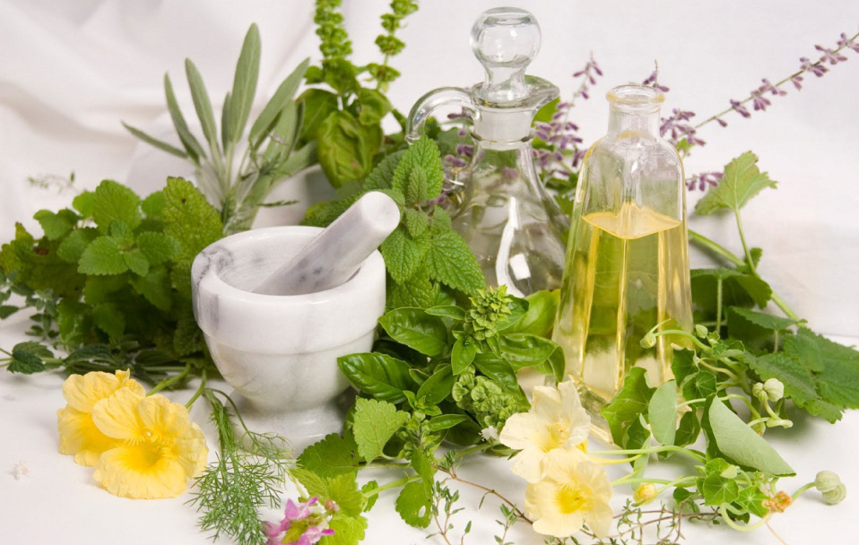 Народные травы для похудения Народный чай для похудения