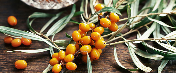 Облепиха для беременных Облепиха в гинекологии