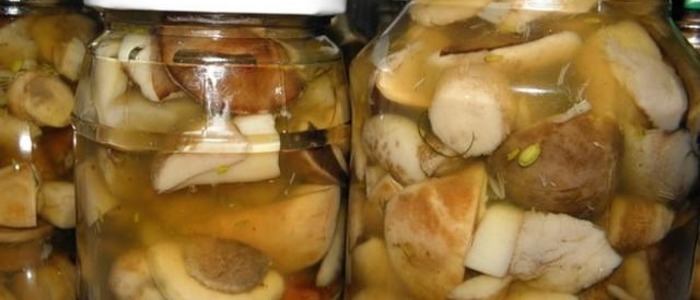 солить подосиновики на зиму