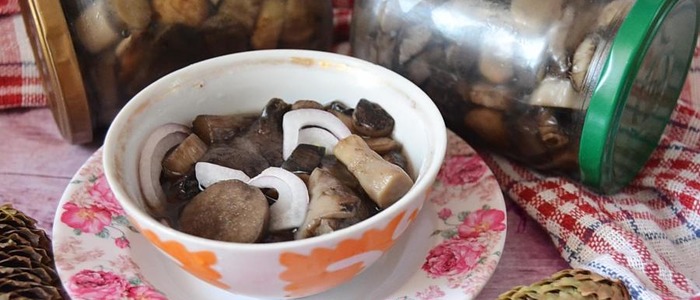 солить подосиновики на зиму