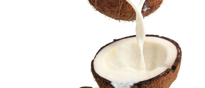 кокосовое молоко польза кокосового молока