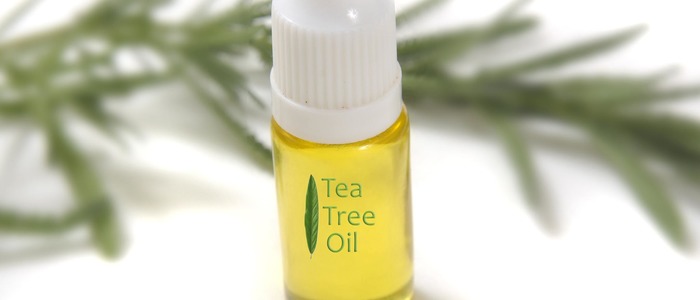 Масло чайного дерева от грибка ногтей применение масла чайного дерева от грибка ногтей