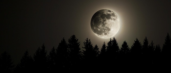 желание в полнолуние сбылось желание в полнолуние