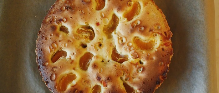 шарлотка с мандаринами шарлотка с мандаринами в мультиварке