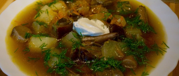 суп из свежих подберезовиков